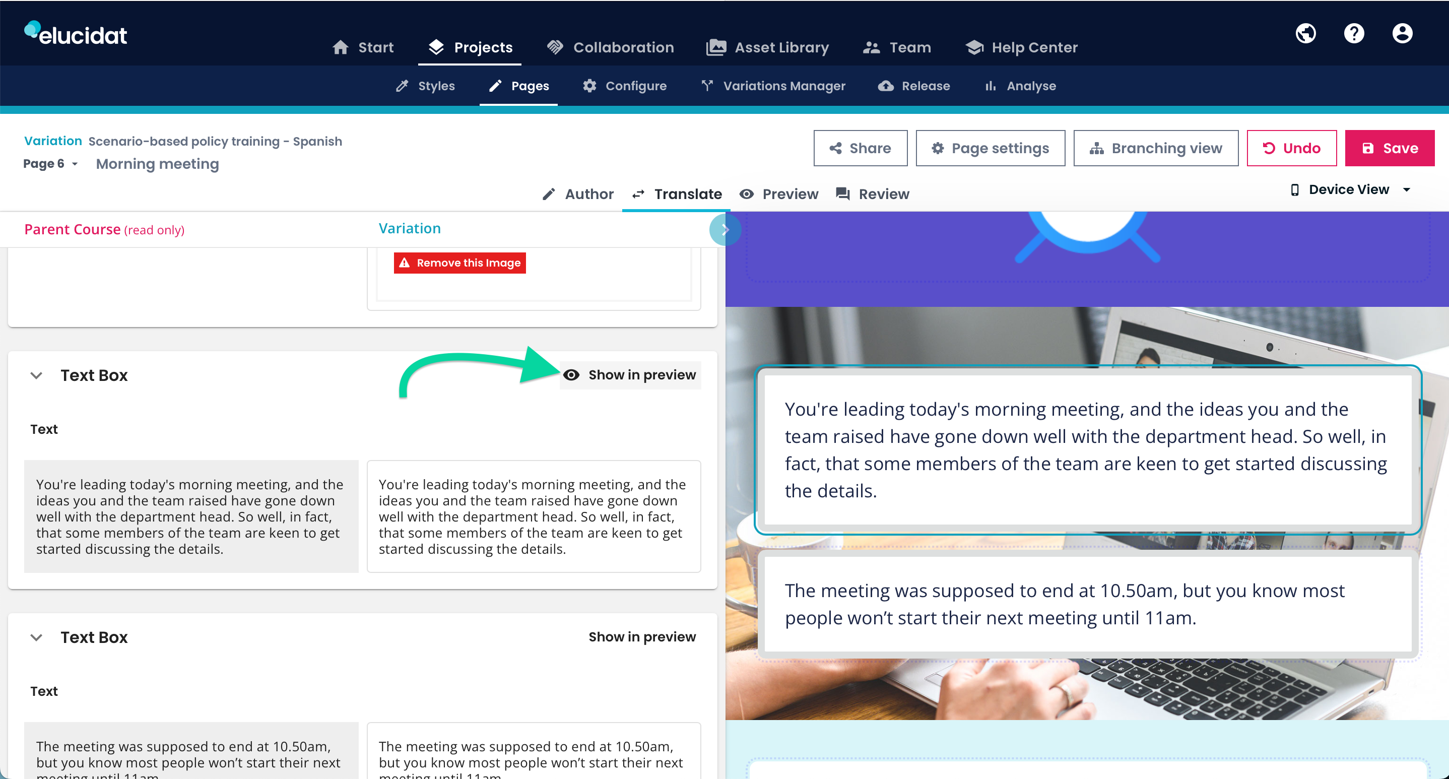 eluauthor-project-translate-show-in-preview